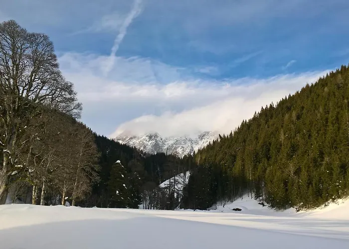 Alpenrose Boutique Gretl Holiday home *